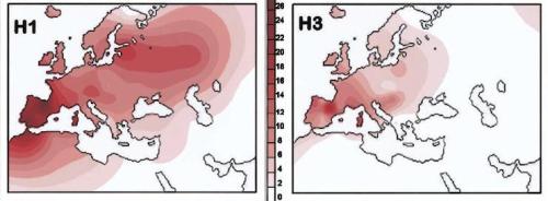 Haplogrupos H1 Y H2 mitocondriales, que testimonian el centro de asentamiento que supuso el Ebro en la prehistoria europea.